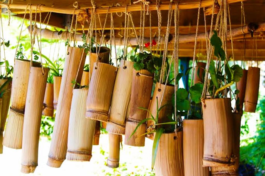 bamboo- bamboo-