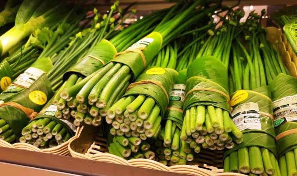 banana leaves for packaging banana leaves for packaging