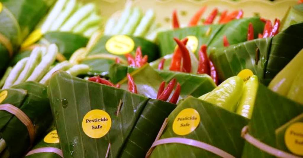banana Peel benefits banana Peel benefits